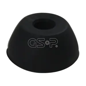 513255 GSP-BR