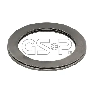 518993 GSP-BR