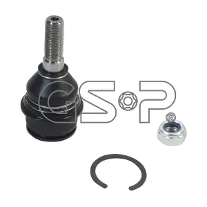 GSP-BR S080262