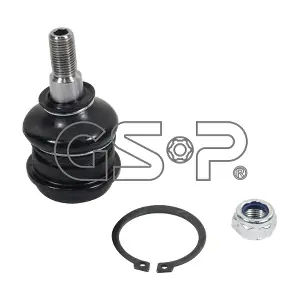GSP-BR S080098