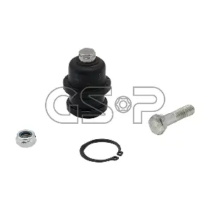 GSP-BR S080030
