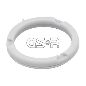 510129 GSP-BR