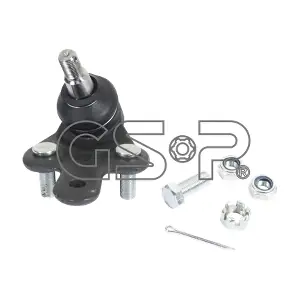 S080668 GSP-BR