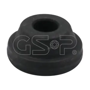 534000 GSP-BR