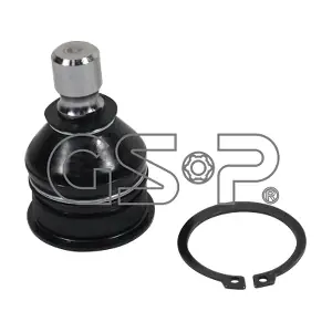 GSP-BR S080095
