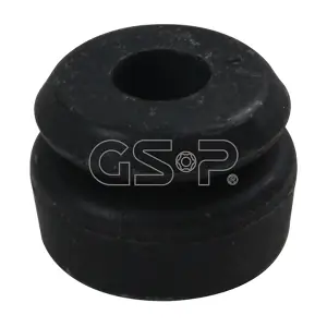 510998 GSP-BR