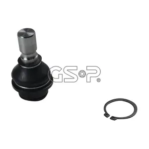 S080856 GSP-BR