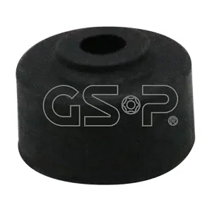 510899 GSP-BR