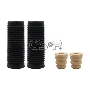 5402516PK GSP-BR