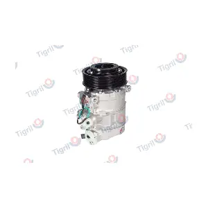 DB20.0007 TIGRIL