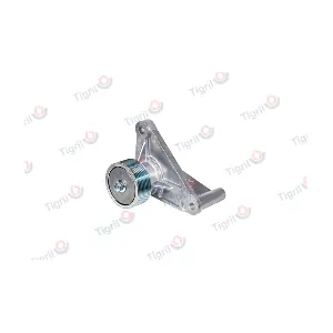 DB01.0161 TIGRIL