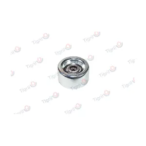 DB01.0171 TIGRIL