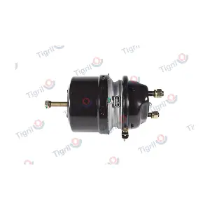 DB12.0023 TIGRIL