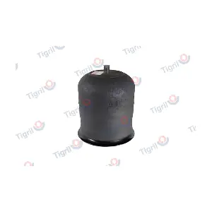 DB08.0005 TIGRIL