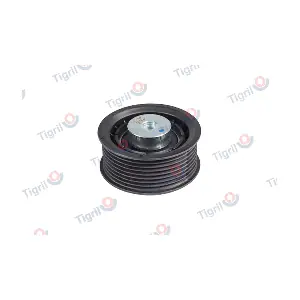 SC01.0017 TIGRIL