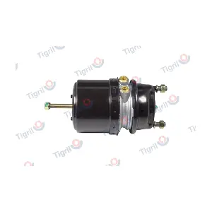 DB13.0041 TIGRIL