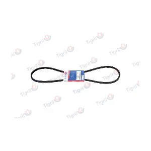 TIGRIL DB01.0205