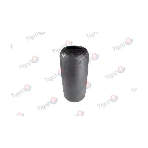 DB10.0002 TIGRIL