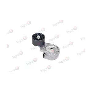 DB01.0062 TIGRIL