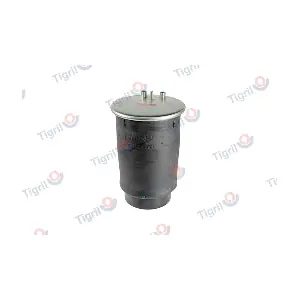 MA09.0007 TIGRIL
