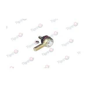 DB04.0007 TIGRIL