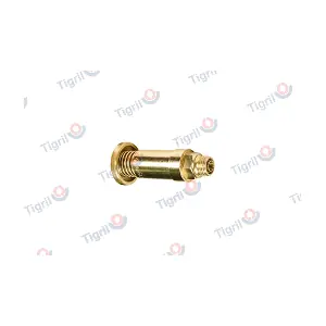 DB01.0060 TIGRIL