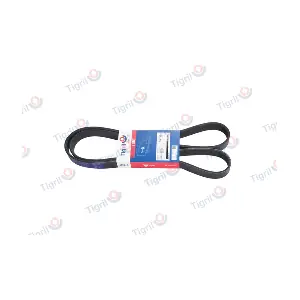 TIGRIL DB01.0188