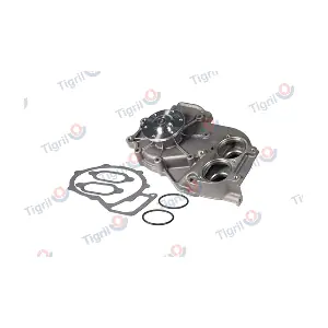 DB01.0022 TIGRIL