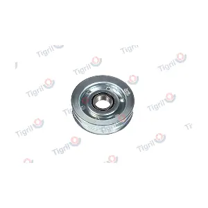 VO01.0015 TIGRIL