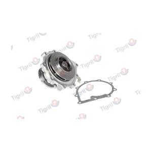 MA01.0020 TIGRIL