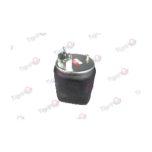 VO09.0015 TIGRIL