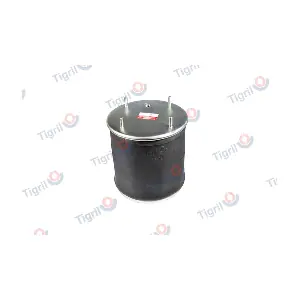 SF10.0009 TIGRIL