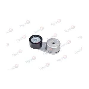 TIGRIL DB01.0157