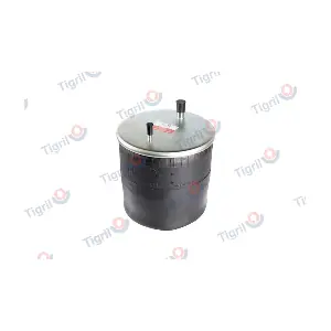 RO10.0004 TIGRIL