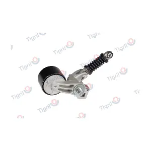 DB01.0128 TIGRIL