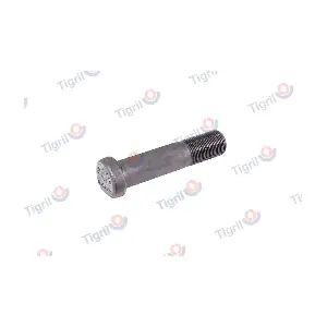 MA24.0001 TIGRIL