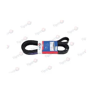 DB01.0198 TIGRIL