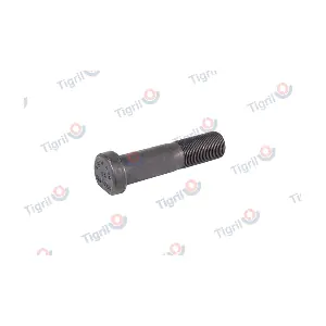DB24.0006 TIGRIL