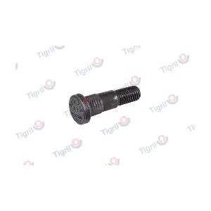 VO24.0001 TIGRIL