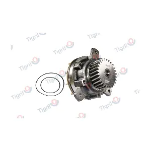 VO01.0003 TIGRIL