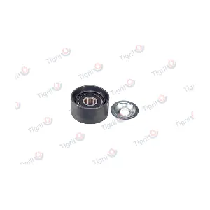 DB01.0165 TIGRIL
