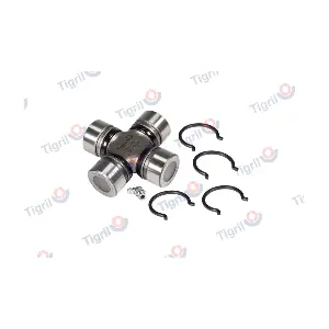 DB11.0010 TIGRIL