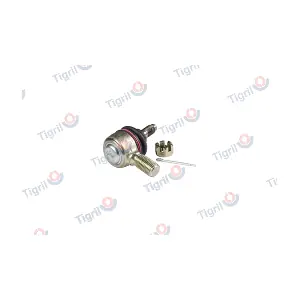 DB04.0008 TIGRIL