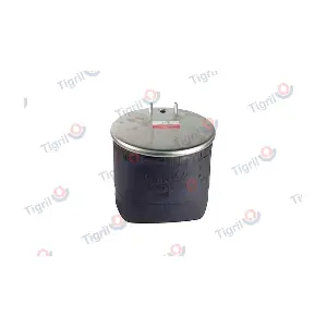 VO09.0008 TIGRIL