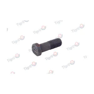 DB24.0012 TIGRIL