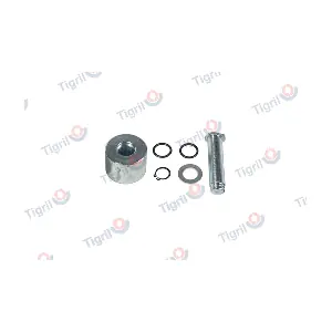 DB12.0033 TIGRIL