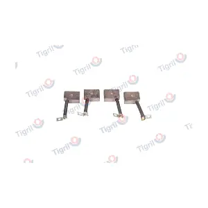 TIGRIL VO01.0028