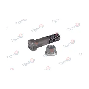 DB24.0047 TIGRIL