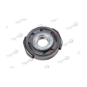 DB11.0012 TIGRIL
