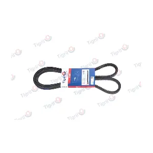 DB01.0210 TIGRIL
